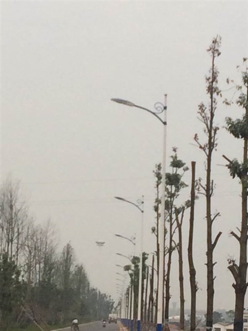 江西婺源文公路路灯3