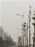 江西婺源文公路路灯3