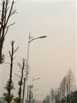 湖南汨罗201线中国结景观亮化1