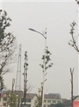湖南汨罗201线中国结景观亮化10